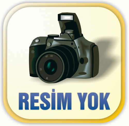 Makina Modifikasyon